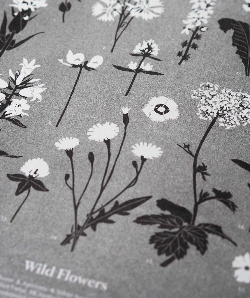 Wild Flowers - The Collective Press